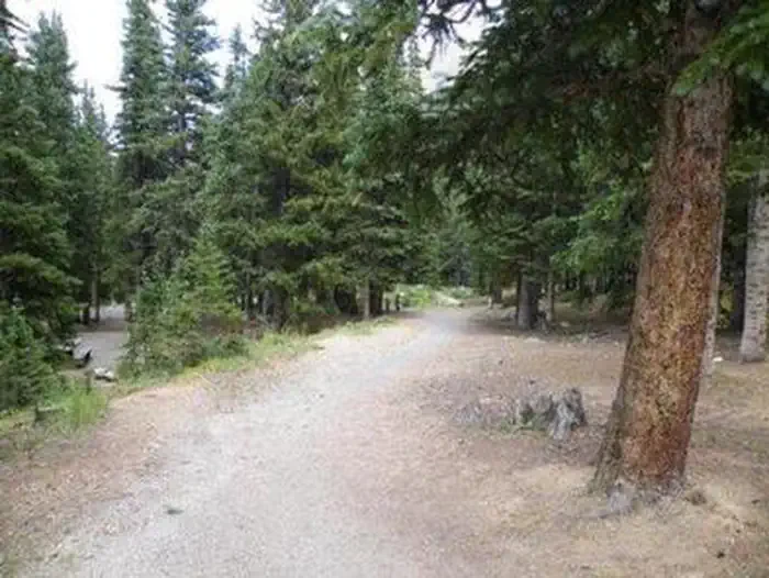 Guanella Pass