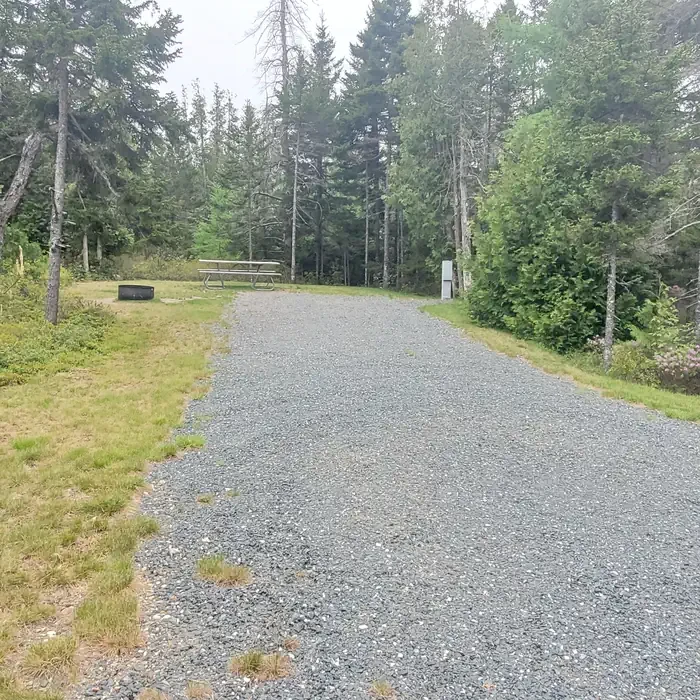 A06
