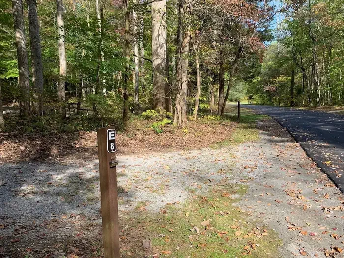 E-08