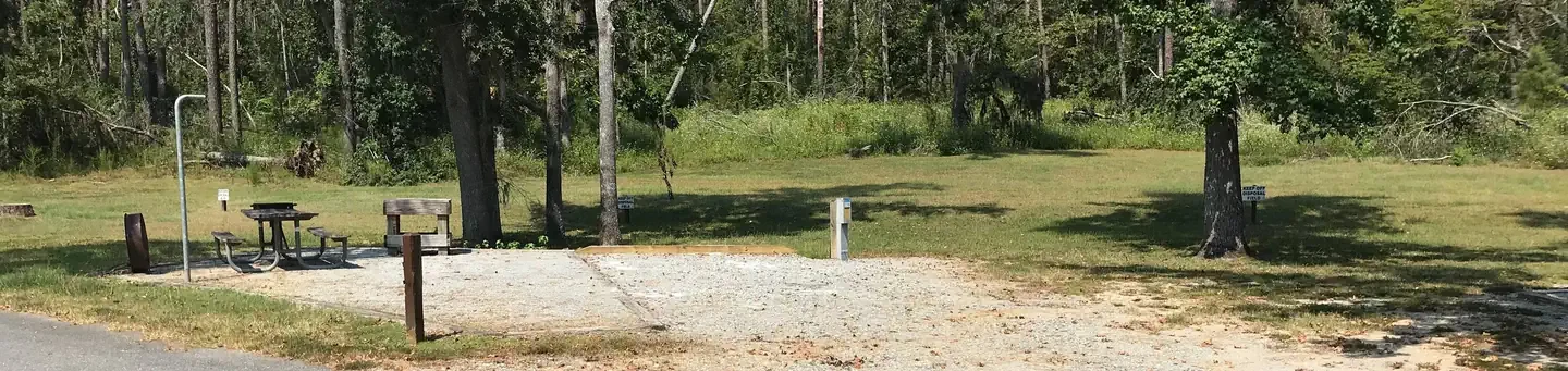 B49