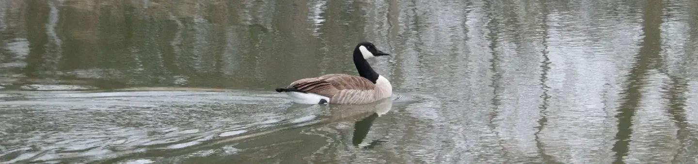 78
