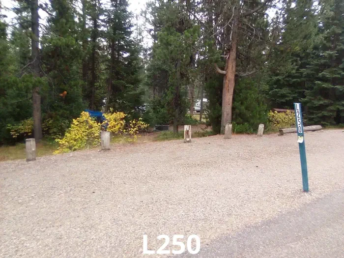 250