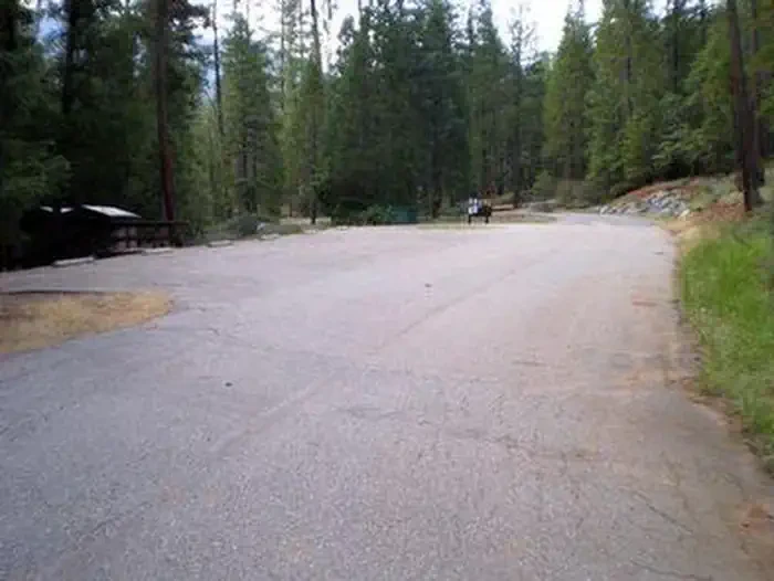 Stoney Group Shasta-Trinity