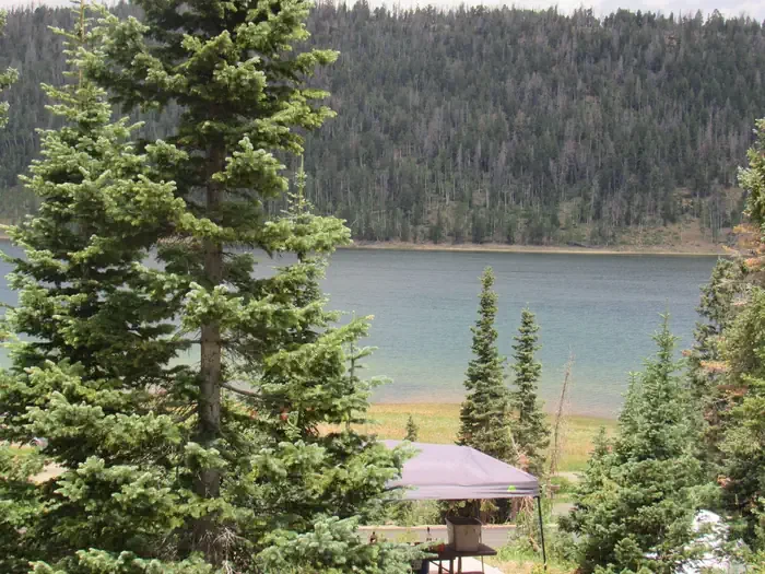 Spruces Campground (dixie NF)