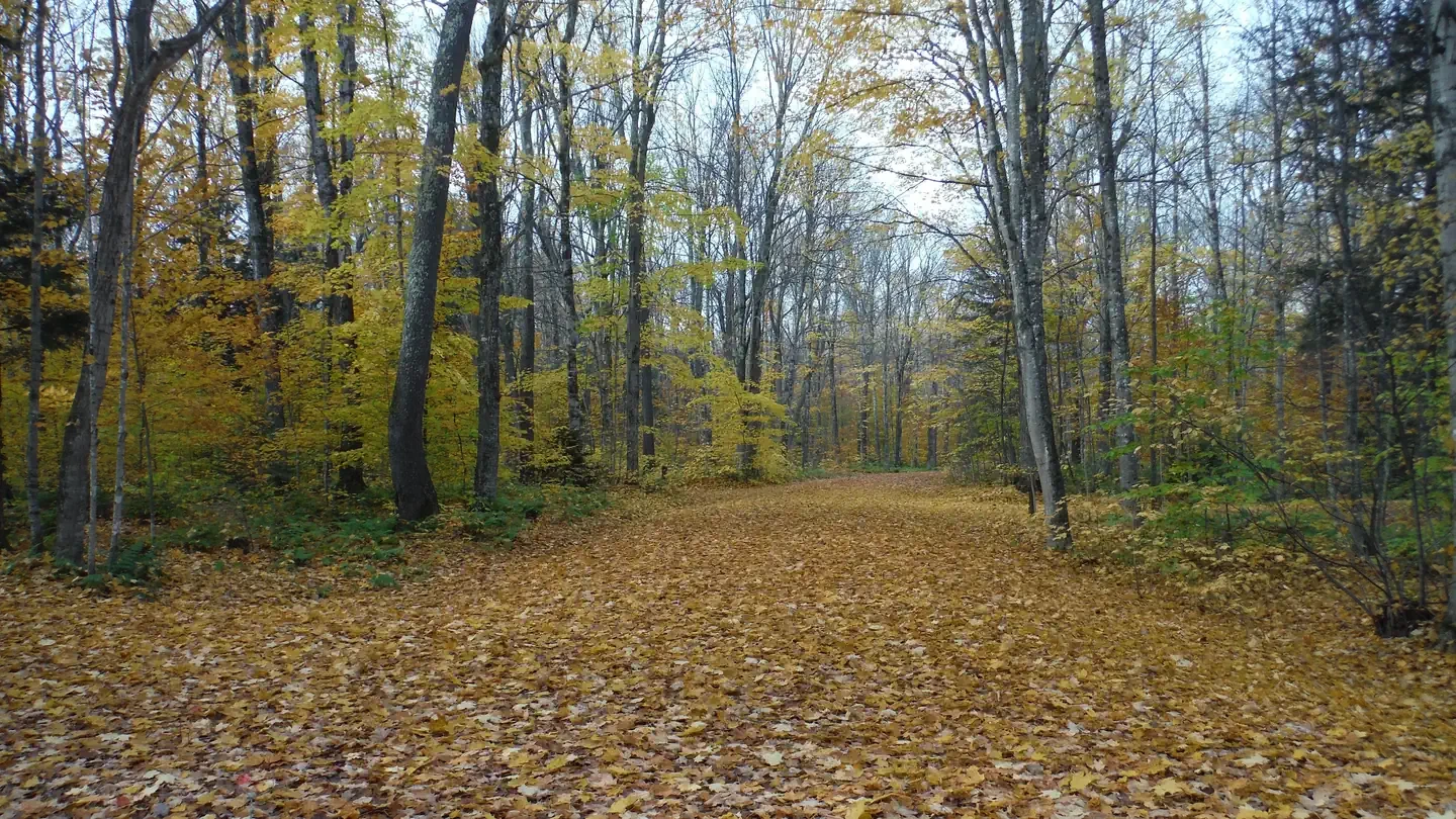 Au Train Lake Campground