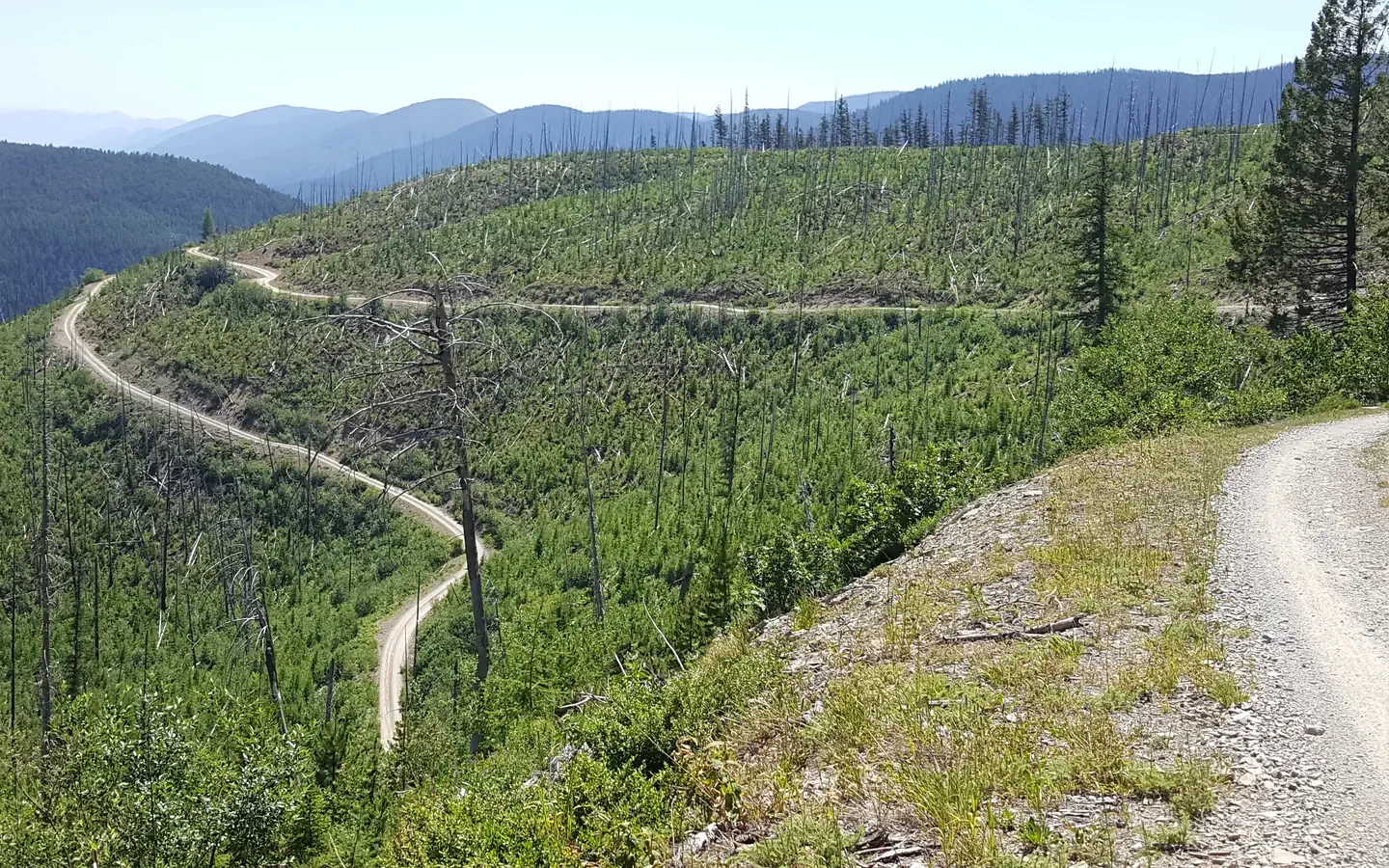 Hornet Lookout