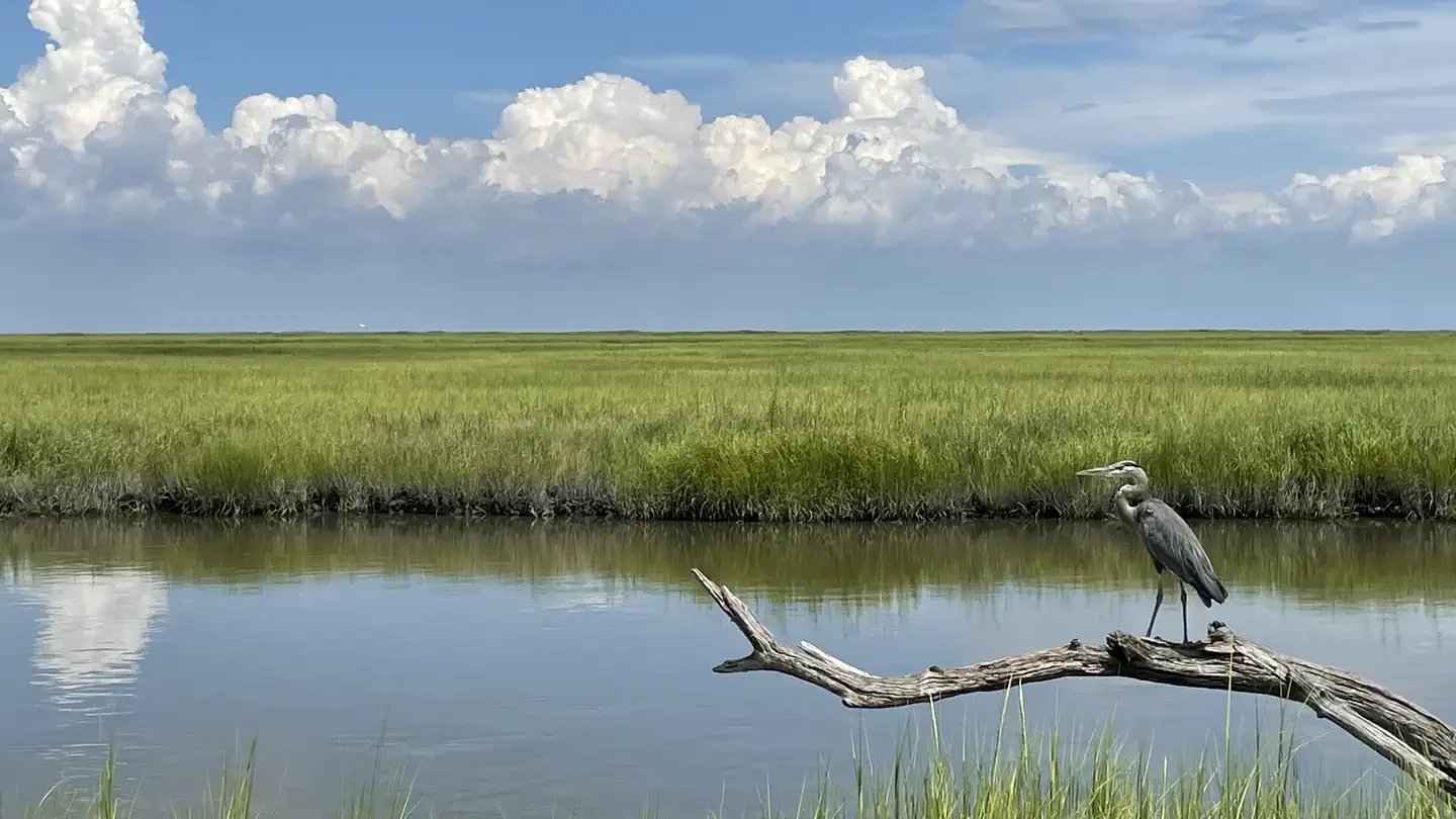 Bombay Hook National Wildlife Refuge