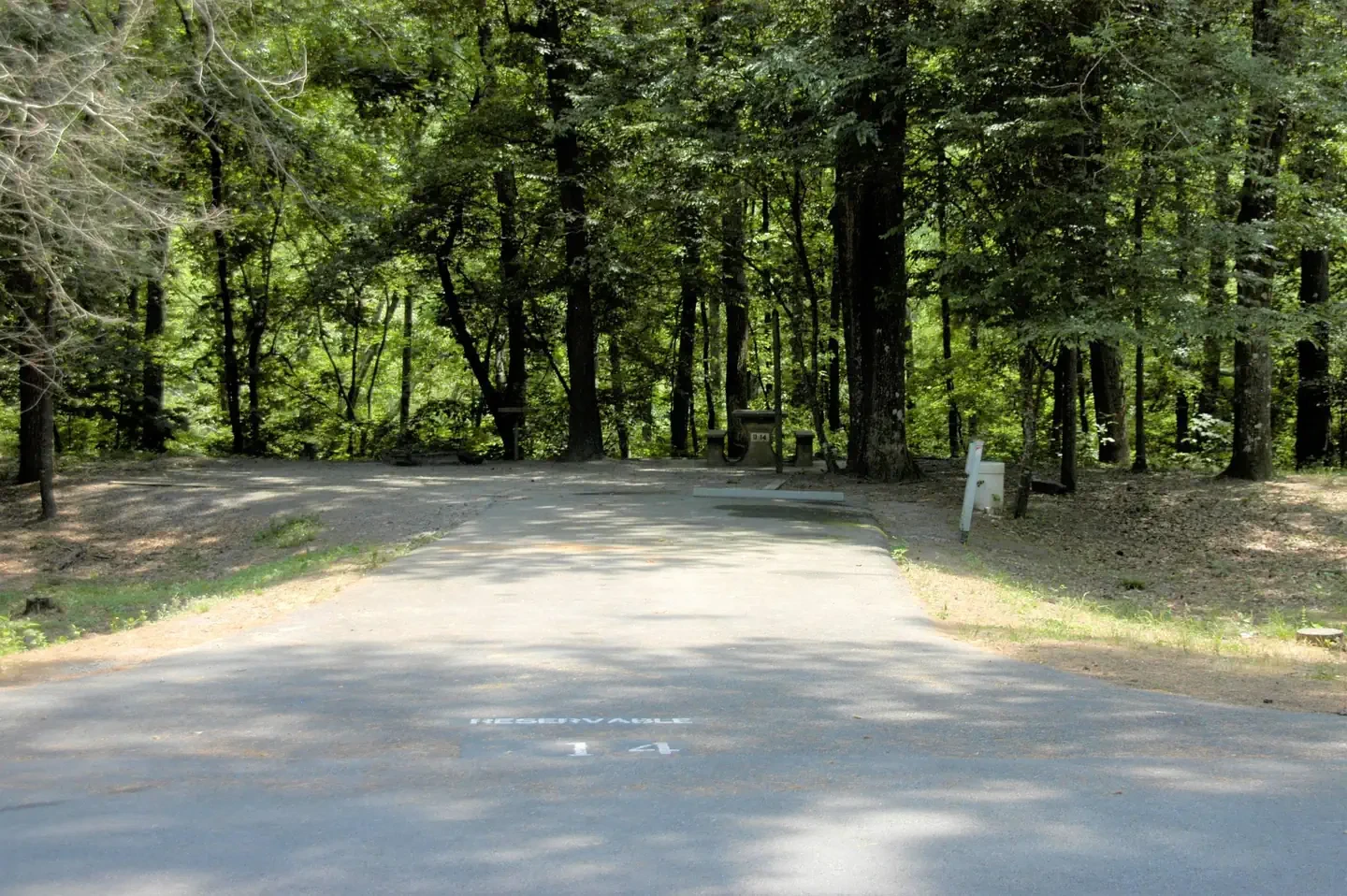 D14
