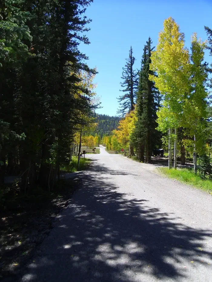 Duck Creek