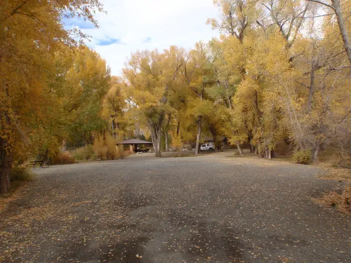 East Elk Creek Group Campsite