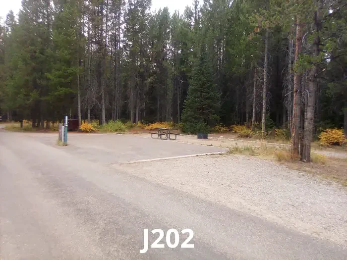 202
