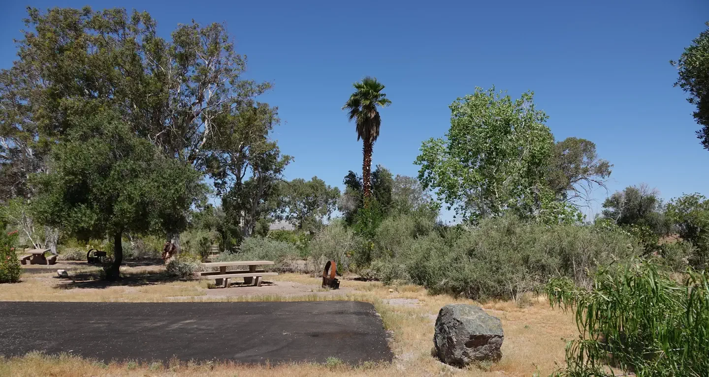 Site 13