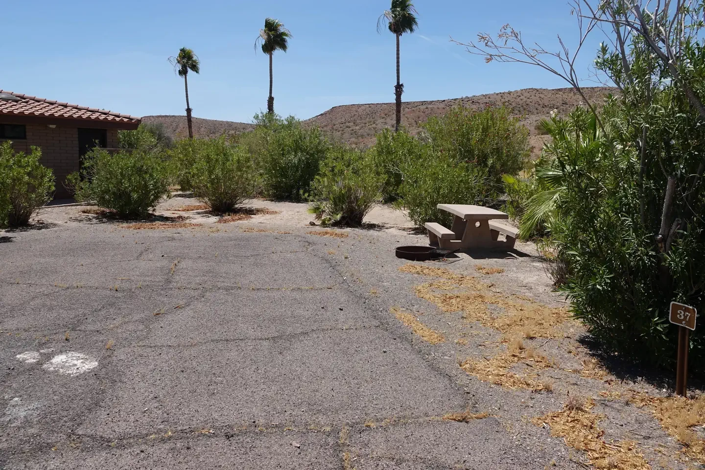 Site 37