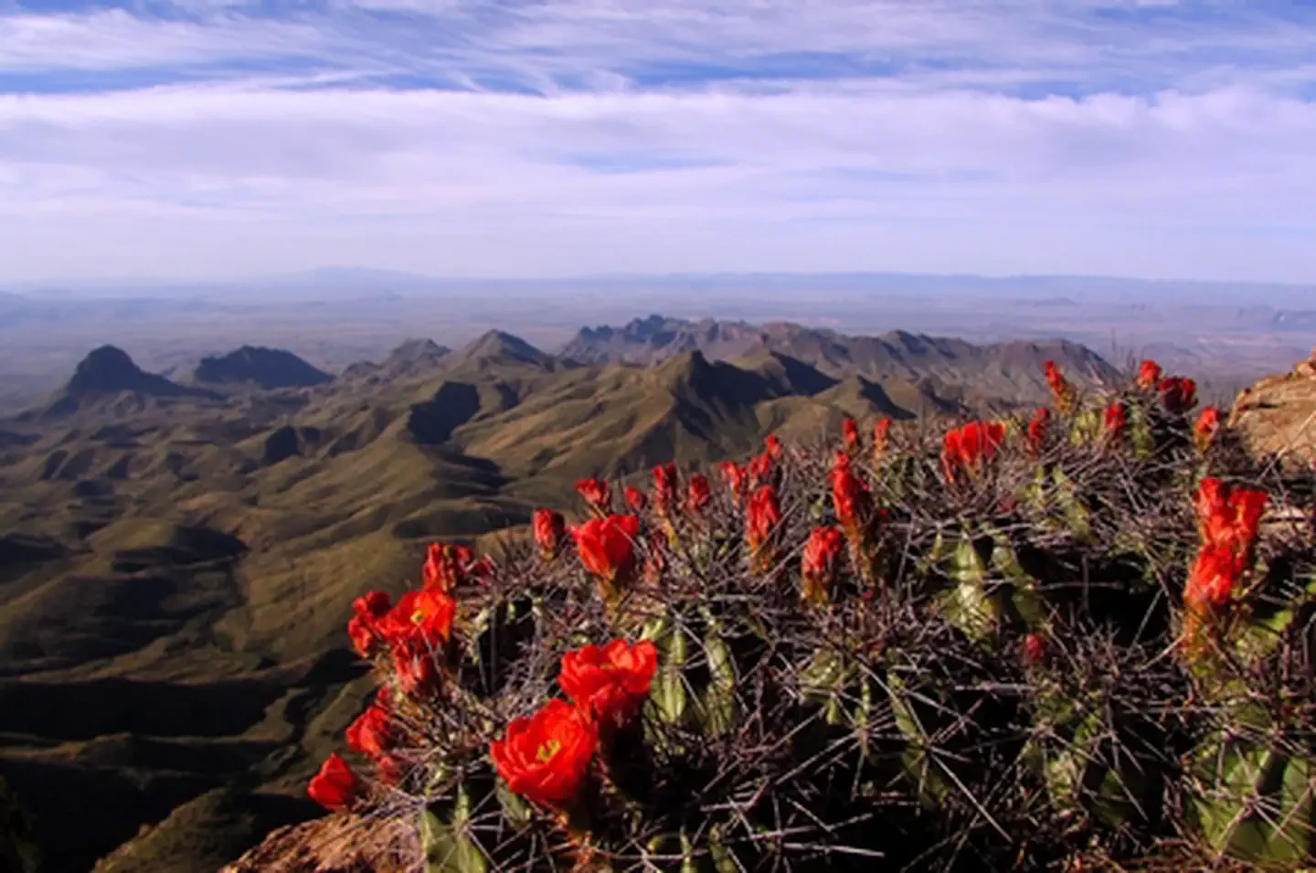 Big Bend National Park