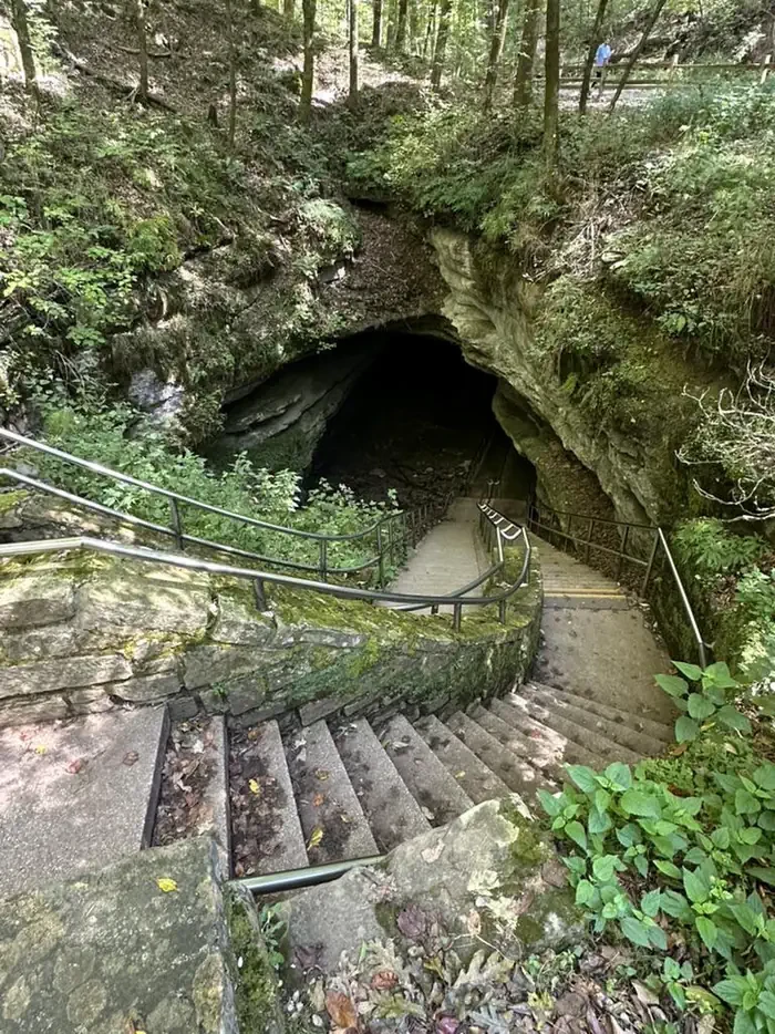 Discovery Tour