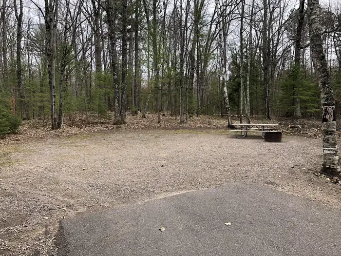 56