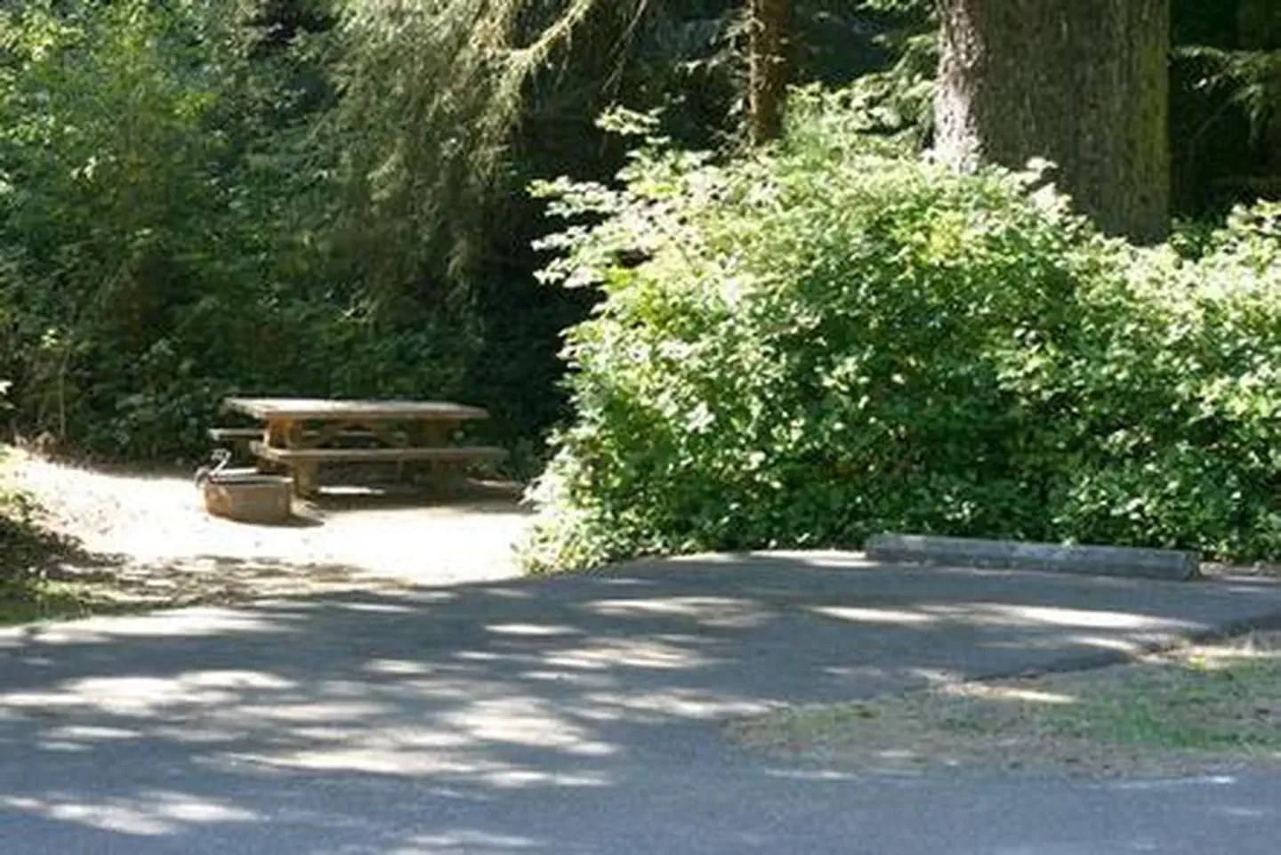 Tahkenitch Campground