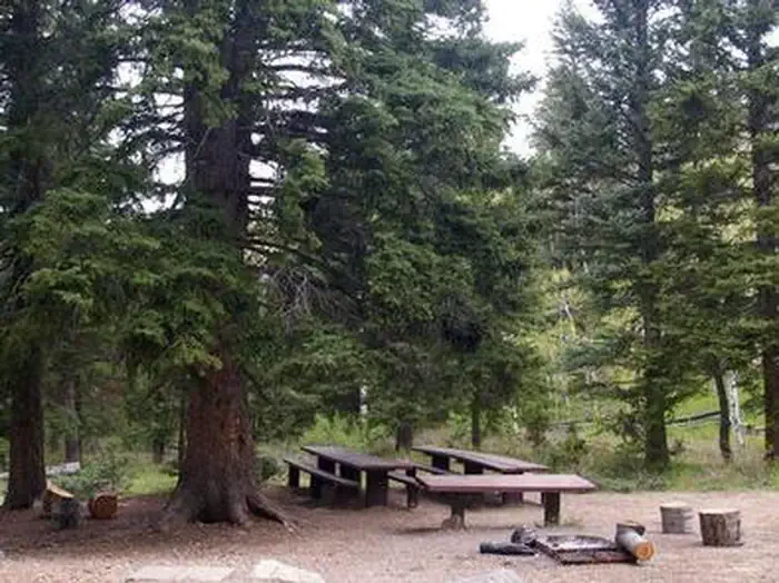 Cedar Canyon