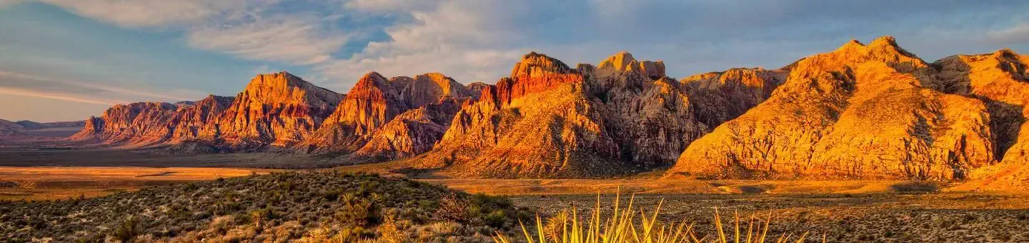 Red Rock Canyon National Conservation Area Scenic Drive Timed Entry