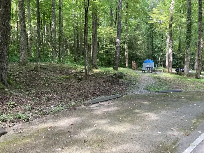 A58