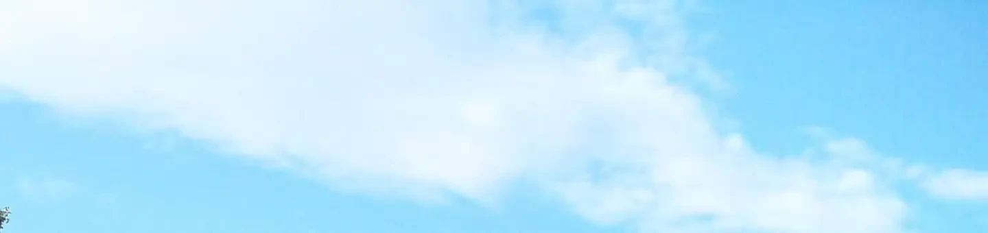 M08