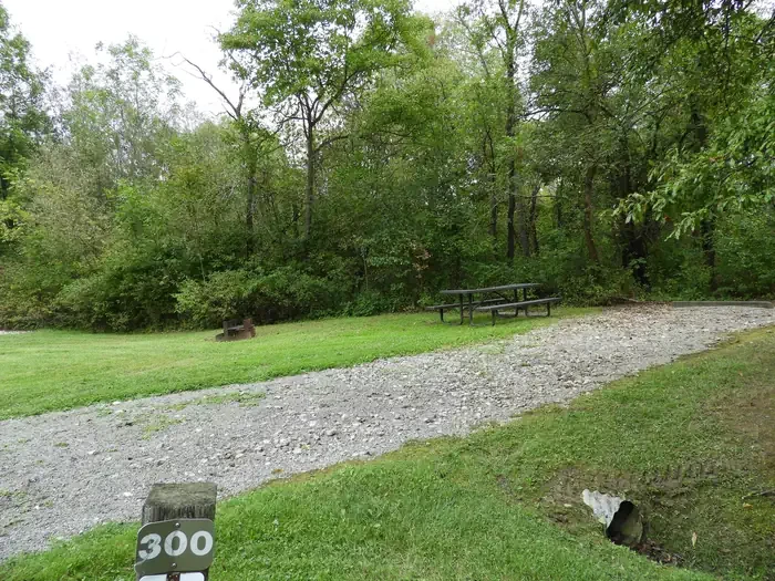 300