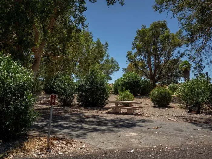 Site 19