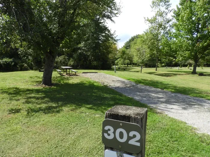 302