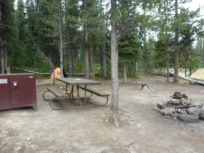 Lewis Lake site #16