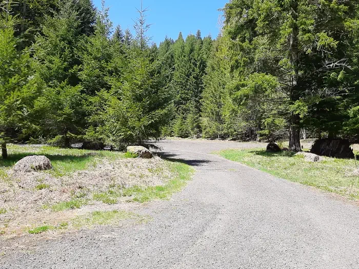 Lewis River Recreation Area Tickets