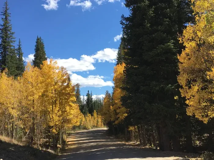 Aspen (co)