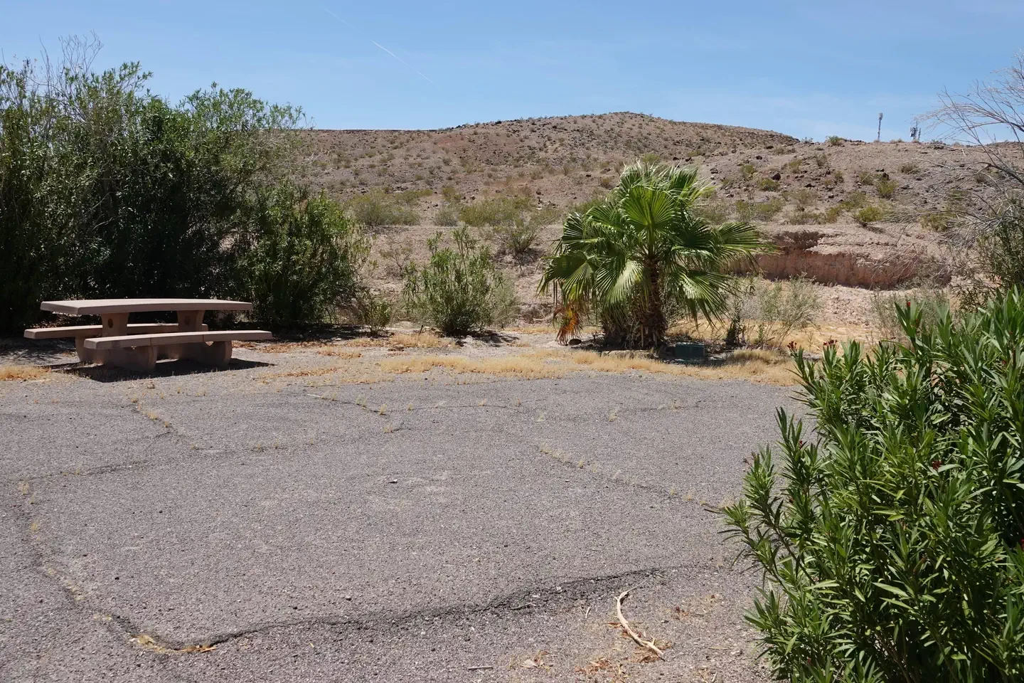 Site 25