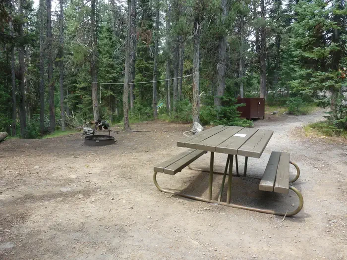 Lewis Lake site #69