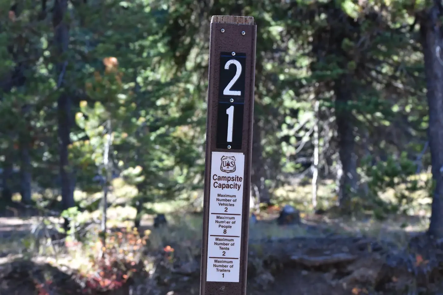 21