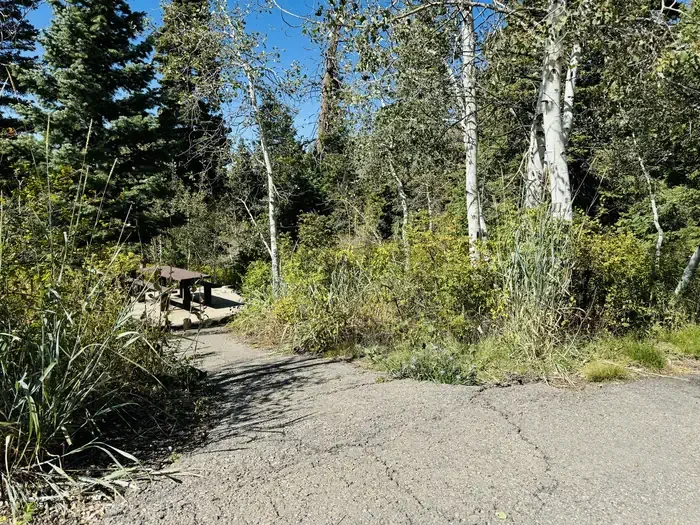 B09