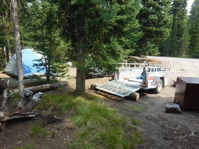 Lewis Lake site #41
