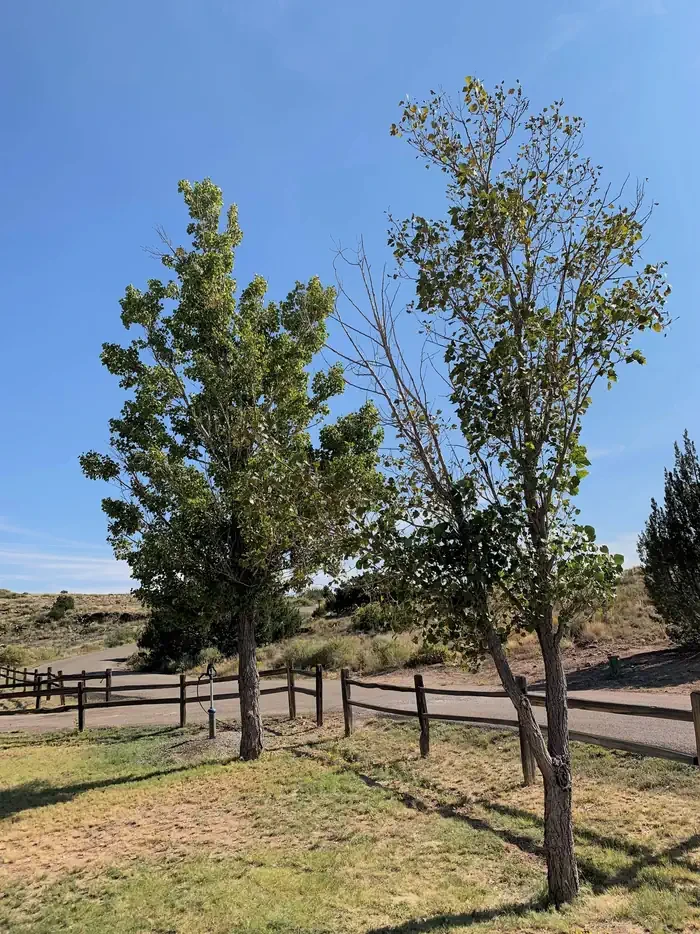 Site 20