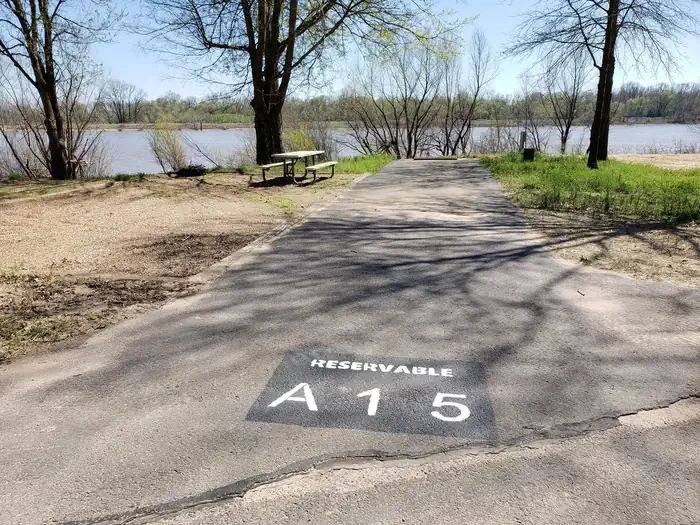 A15