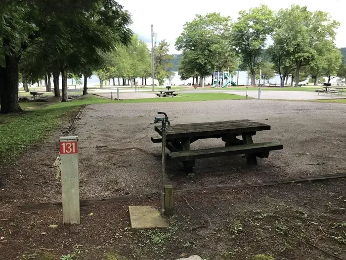 131