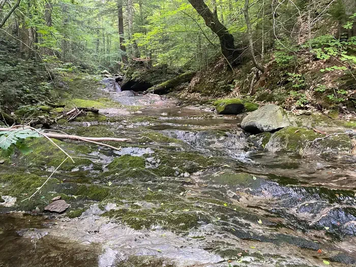 Chittenden Brook Campground