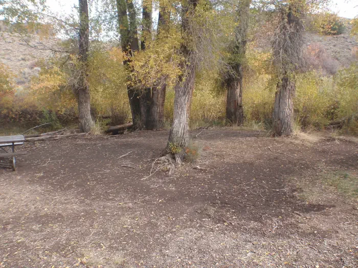 Red Creek Group Site