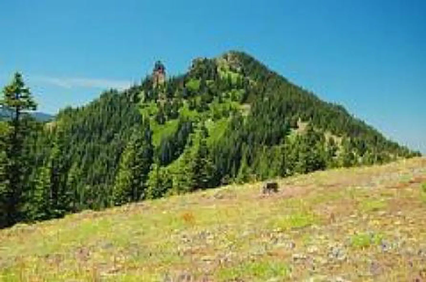Sweet Home Nature and Heritage Tours