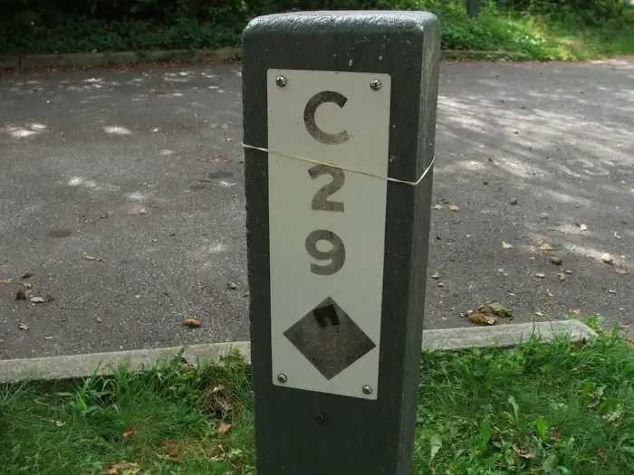 C29