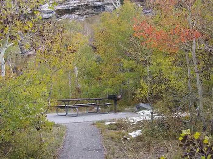 Terraces Campground - Picnic Area