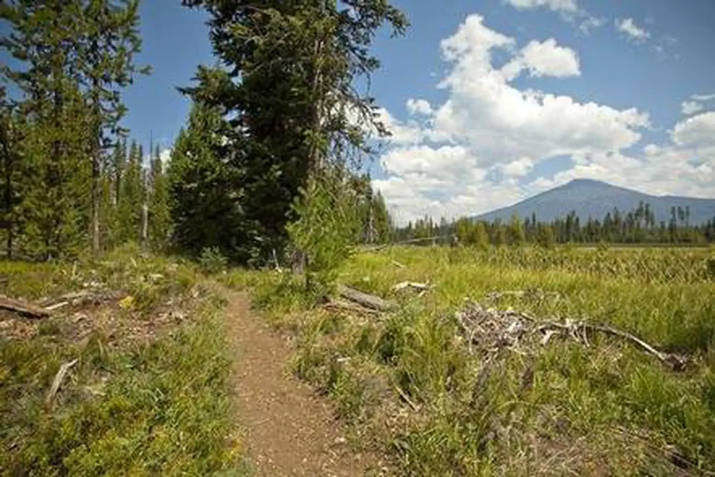 Mallard Marsh Campground