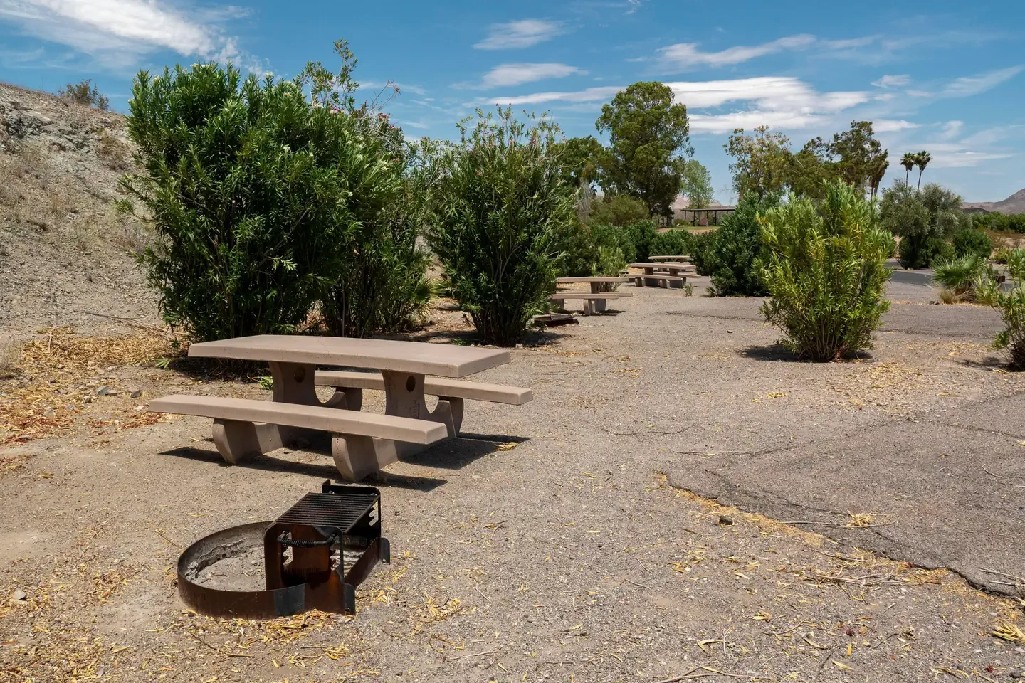 Callville Bay Campground