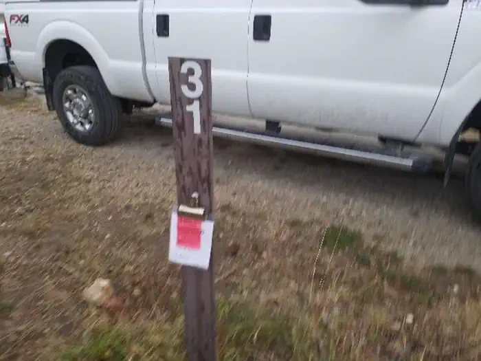 031