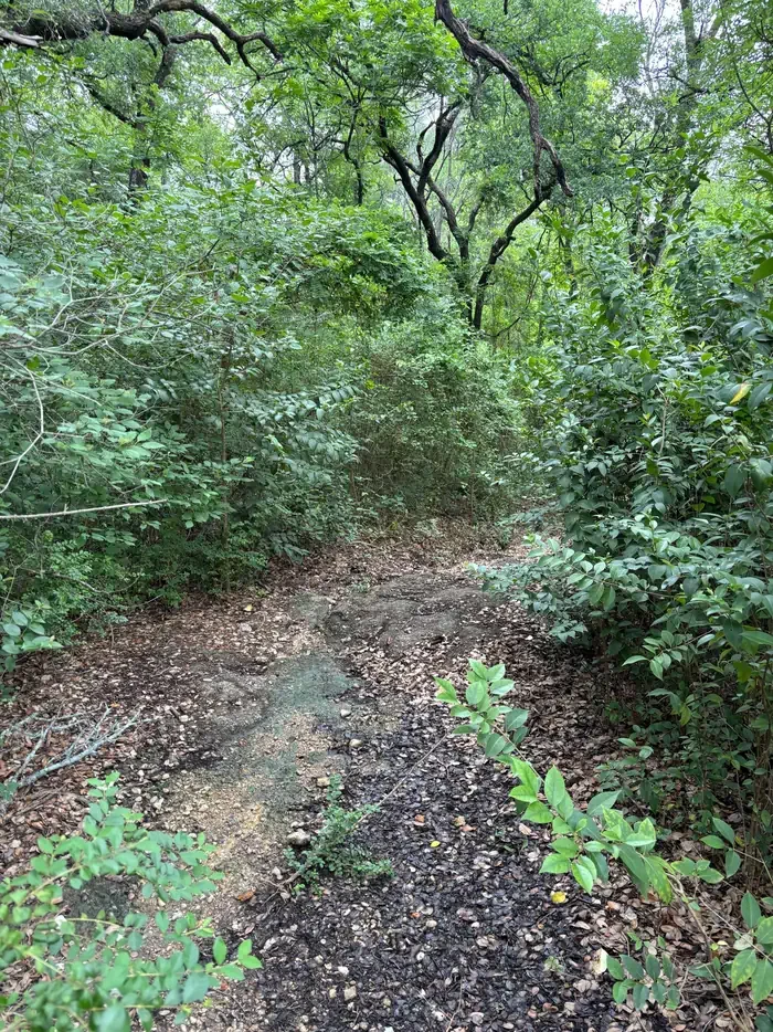 Whitney and Aquilla Lakes Public Hunting Permit