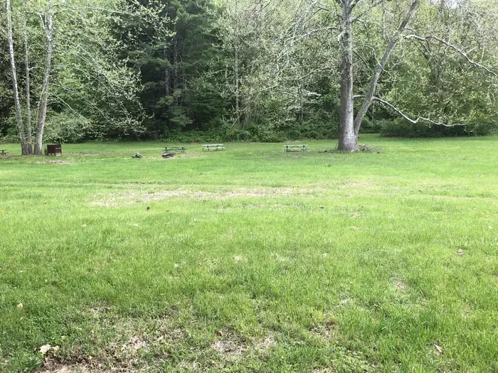 Site #3