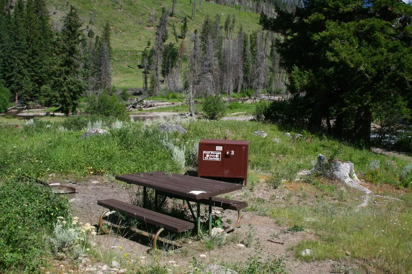 Slough Creek site #3